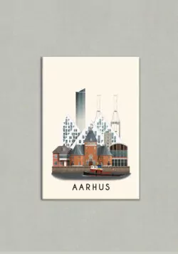 Aarhus magnet V